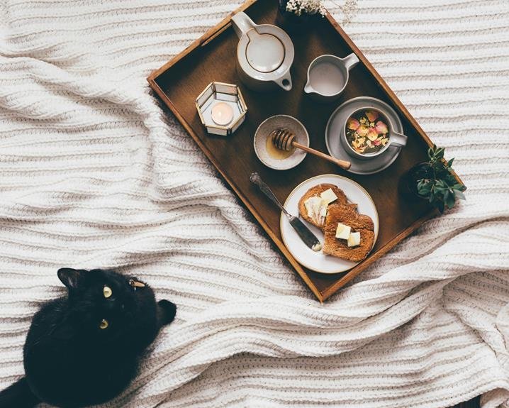 What Foods Should I Avoid Feeding My Cat?