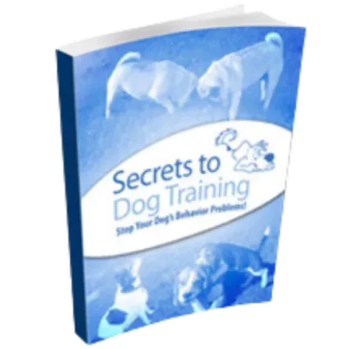 Secrets to Dog Training